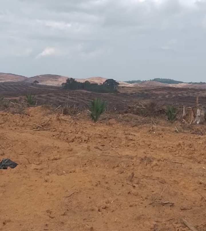 Screenshot_20251026-173805_1